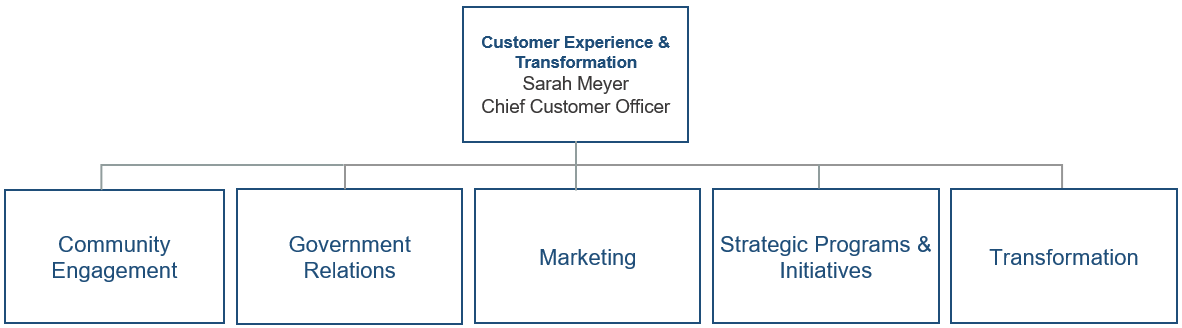 Organization Chart Chief Customer Officer